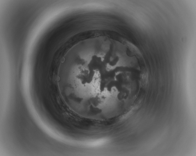 X0000111160765200907071129