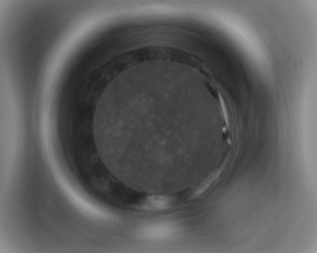 X0000111160766200907071129