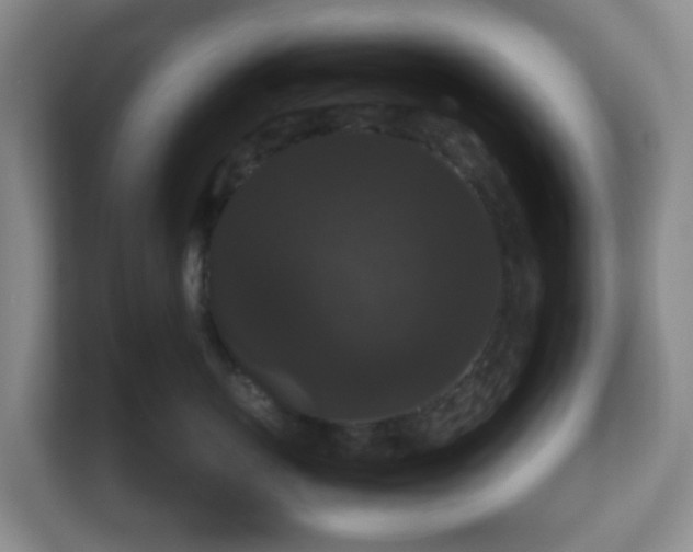 X0000111160767200907071129