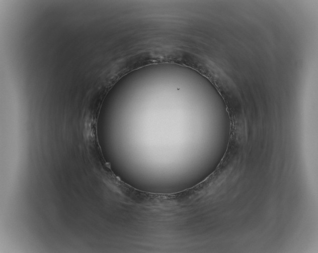 X0000111160770200907071128
