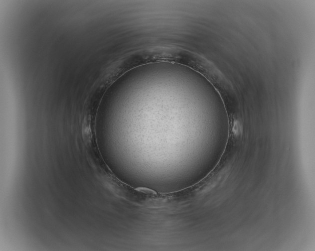 X0000111160771200907071128
