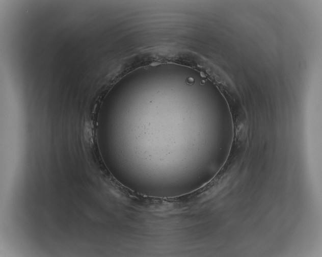 X0000111160772200907071128