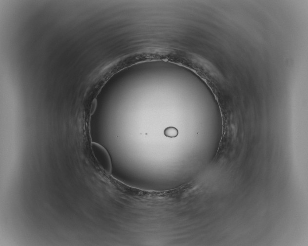 X0000111160773200907071128