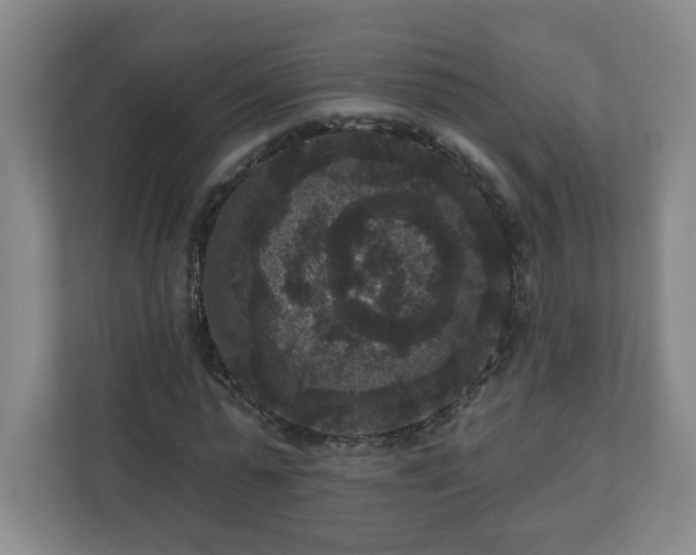 X0000111160775200907071128