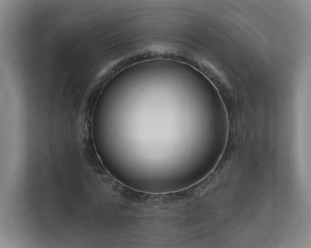 X0000111160776200907071128