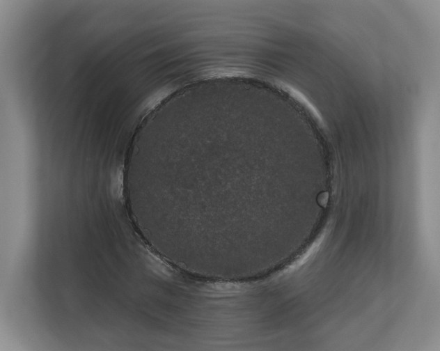 X0000111160777200907071128