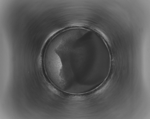 X0000111160779200907071128