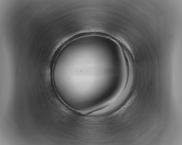X0000111160781200907071128