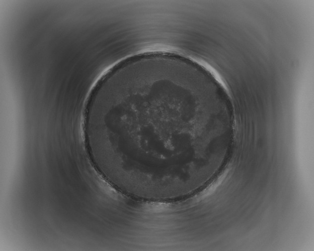 X0000111160783200907071128