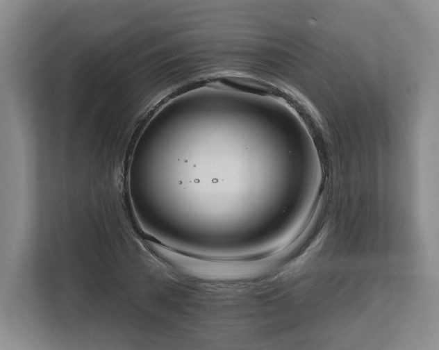 X0000111160785200907071128