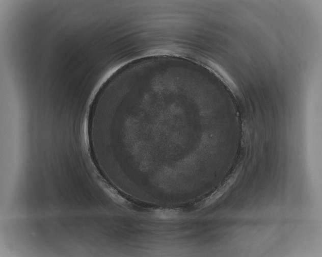 X0000111160788200907071128