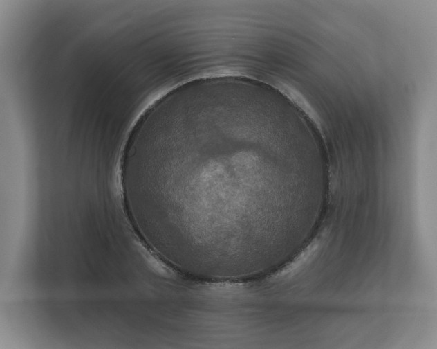 X0000111160789200907071128