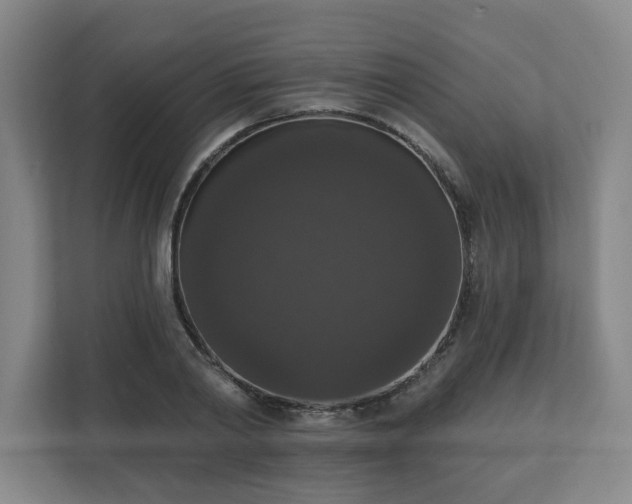 X0000111160790200907071128