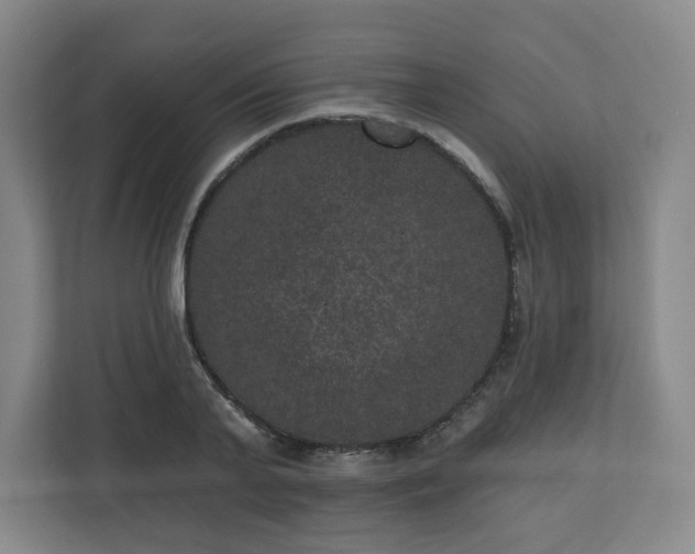 X0000111160791200907071128