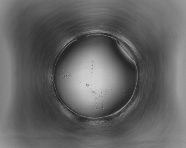 X0000111160793200907071128