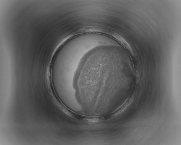 X0000111160798200907071128