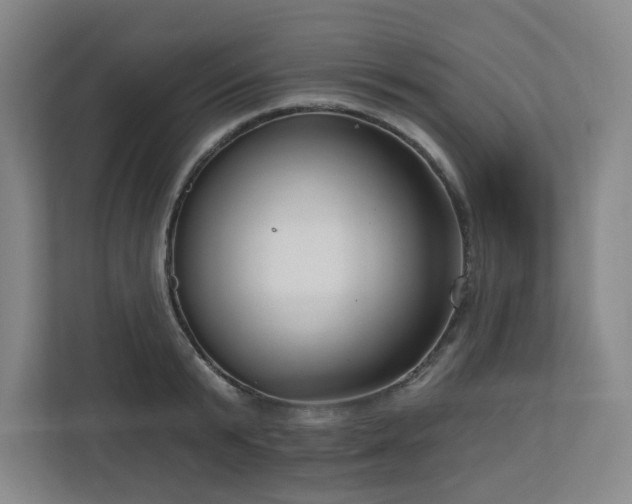 X0000111160799200907071128