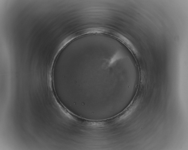 X0000111160802200907071128