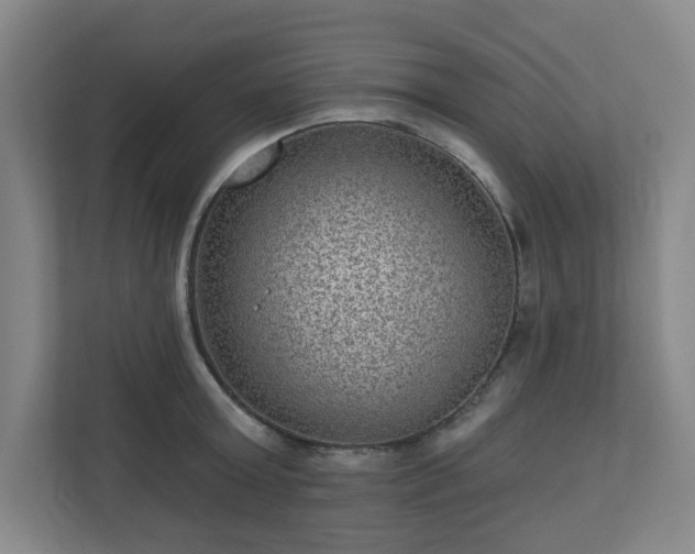 X0000111160803200907071128