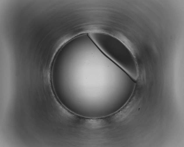 X0000111160805200907071128