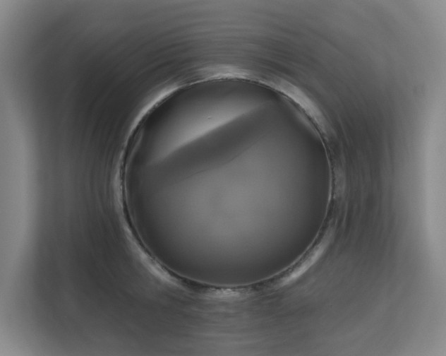 X0000111160806200907071128