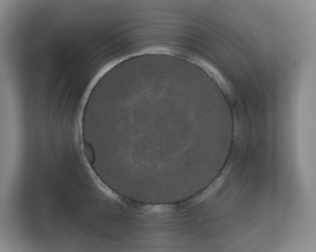 X0000111160808200907071128