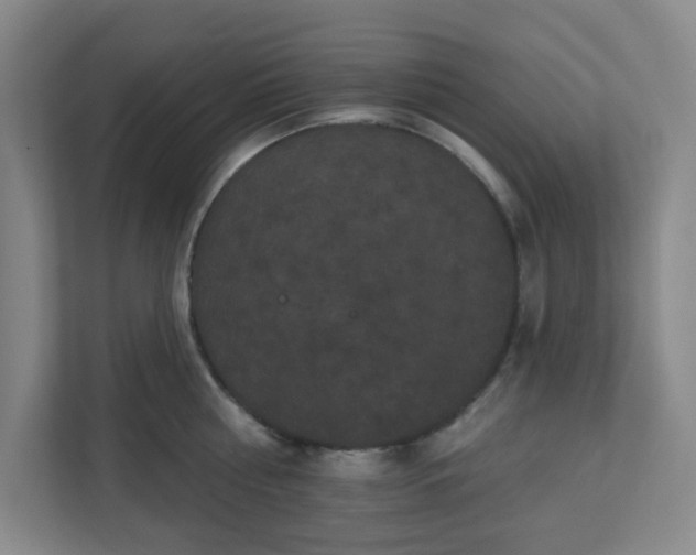X0000111160810200907071128