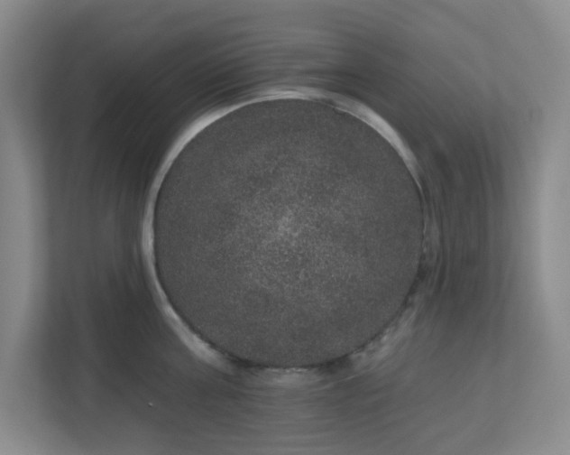 X0000111160811200907071128