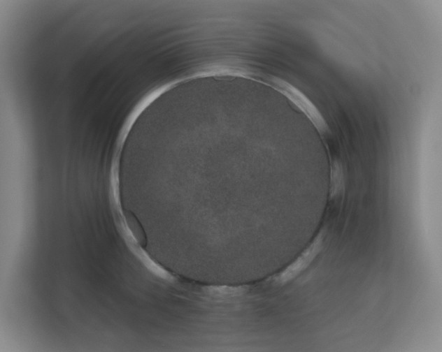 X0000111160812200907071128