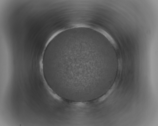 X0000111160814200907071128