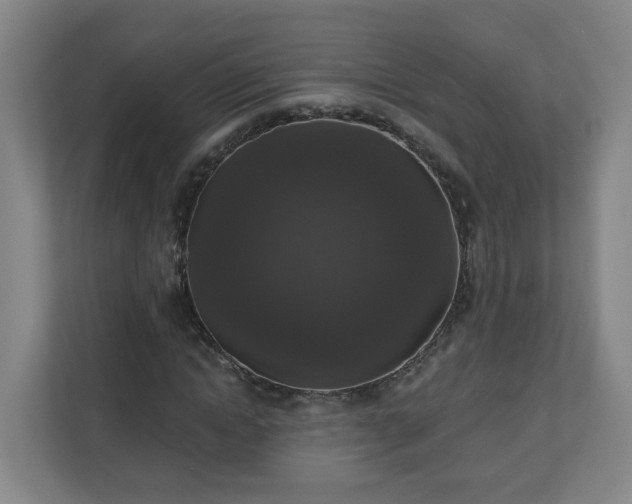 X0000111160822200907071127