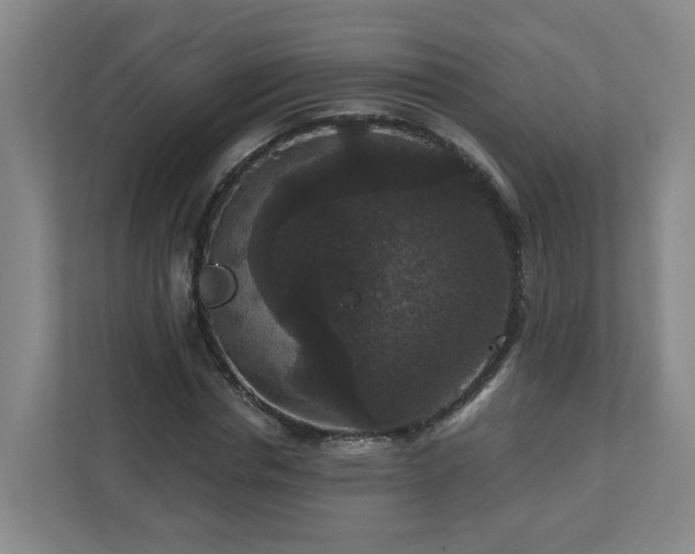 X0000111160826200907071127
