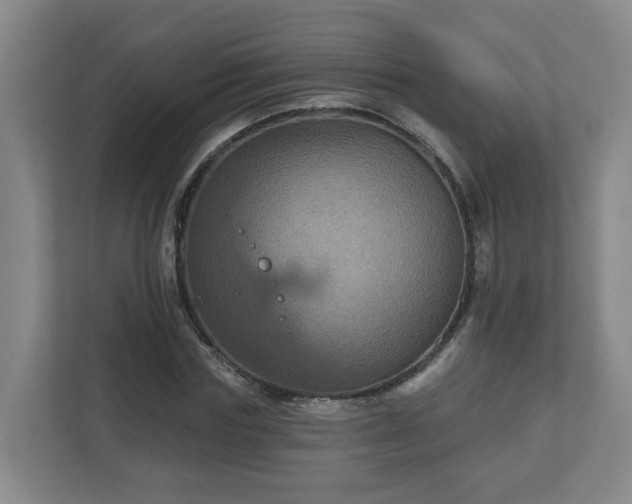 X0000111160827200907071127