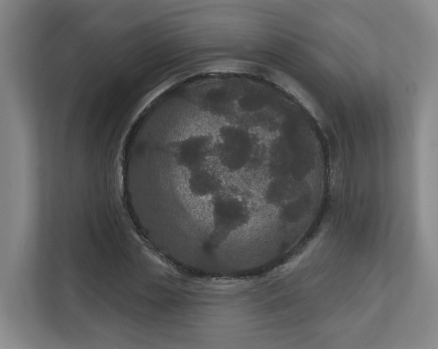 X0000111160829200907071127