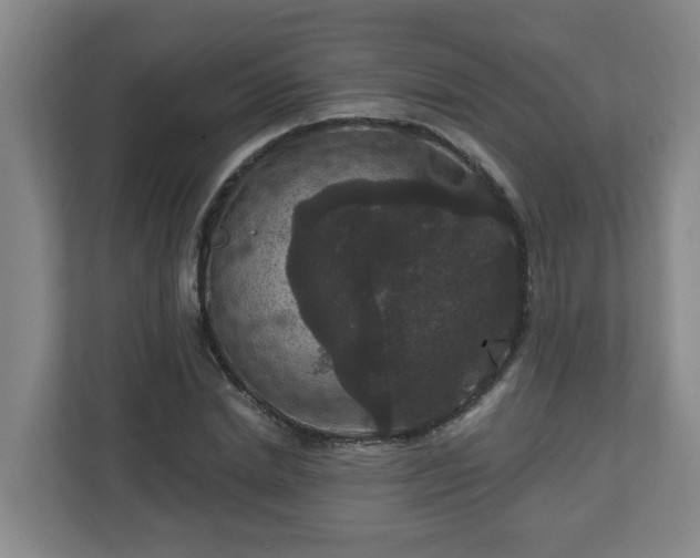 X0000111160830200907071127