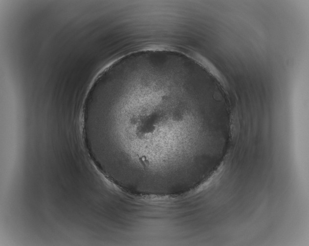 X0000111160831200907071127