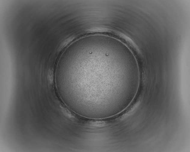 X0000111160833200907071127