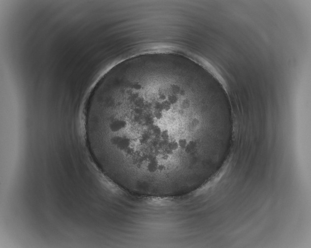 X0000111160835200907071127