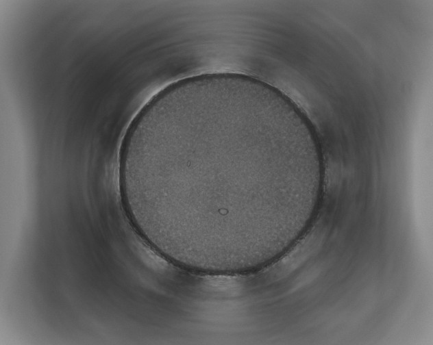 X0000111160836200907071127