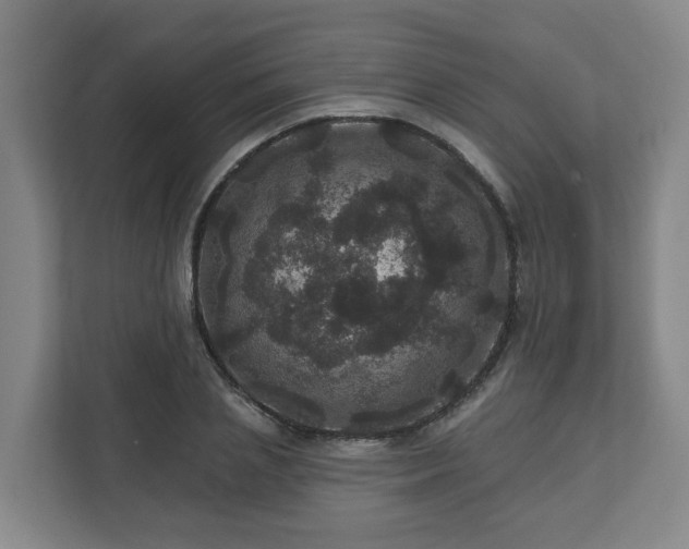 X0000111160837200907071127