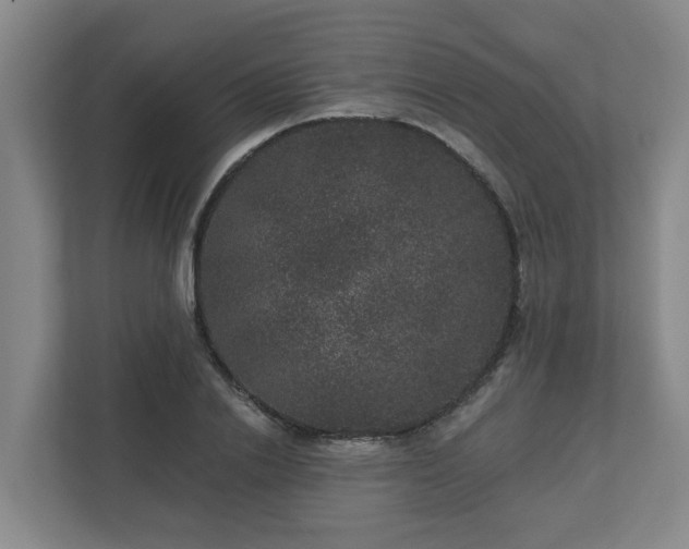 X0000111160838200907071127
