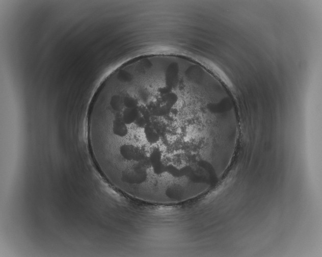 X0000111160839200907071127