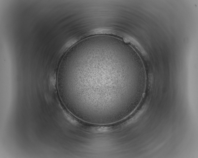 X0000111160841200907071127
