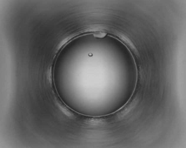 X0000111160842200907071127
