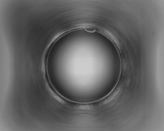 X0000111160843200907071127