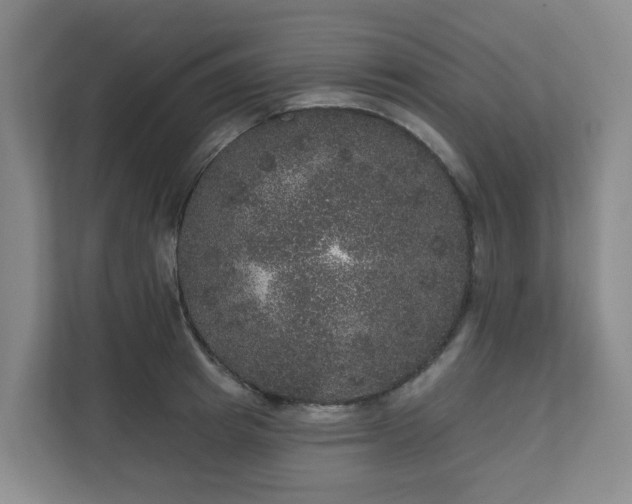 X0000111160849200907071127