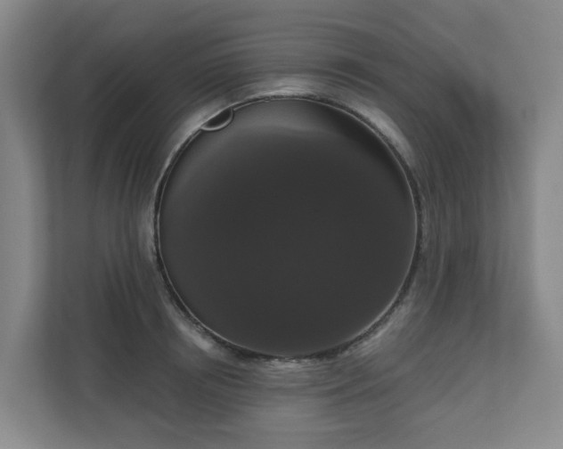 X0000111160850200907071127
