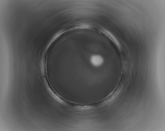 X0000111160851200907071127