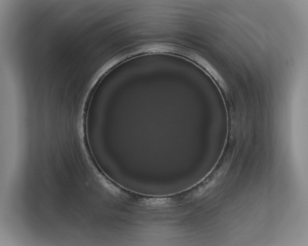 X0000111160853200907071127