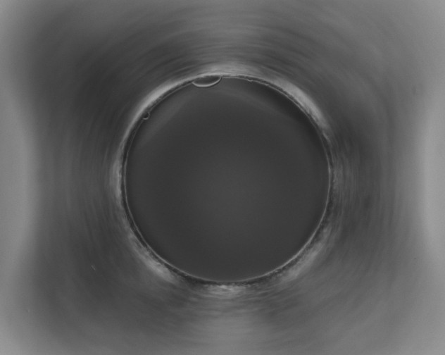 X0000111160854200907071127